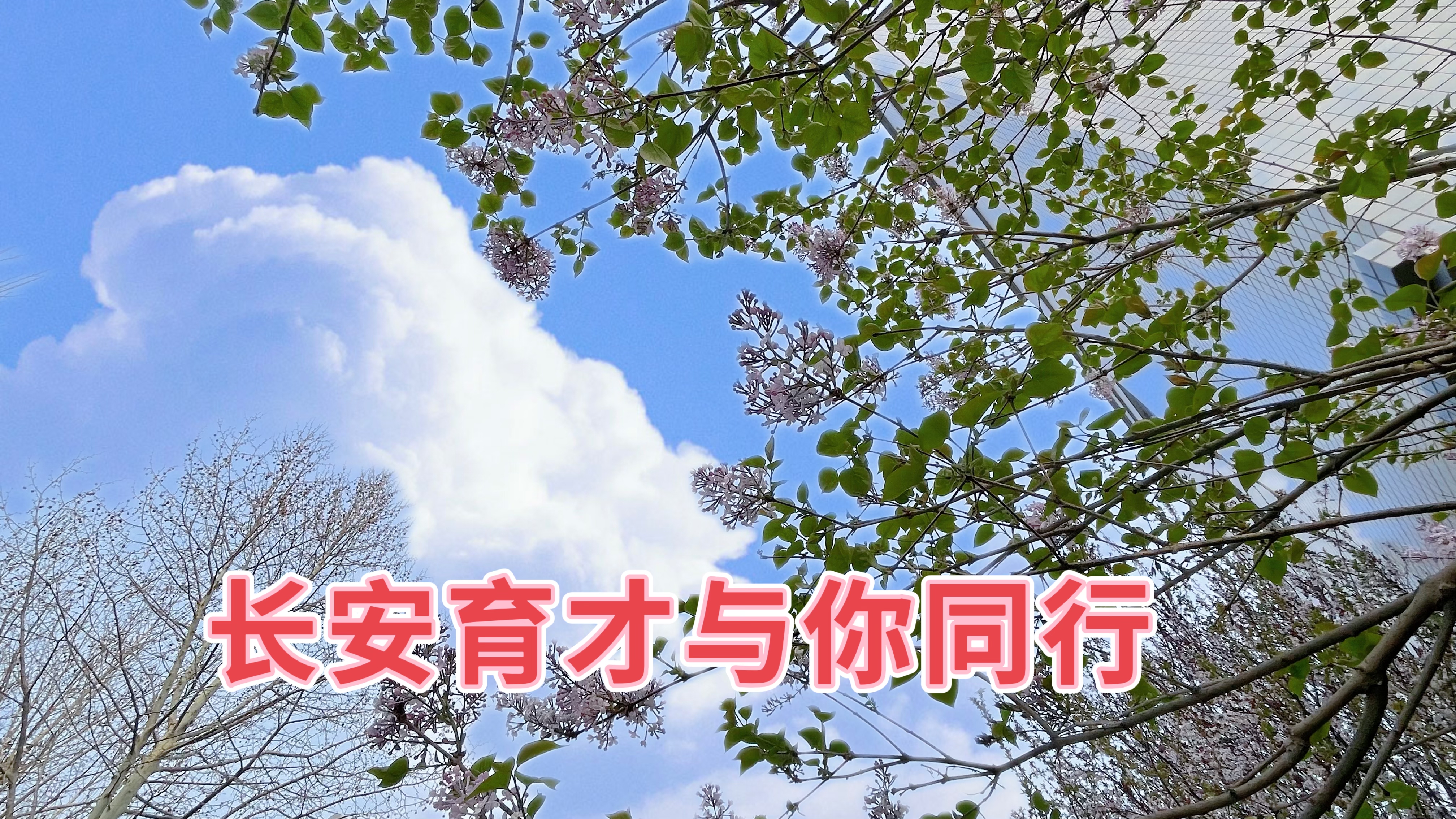 春分‖春日好時(shí)光，攜手共同行